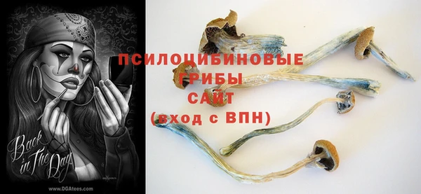 Альфа ПВП Горнозаводск