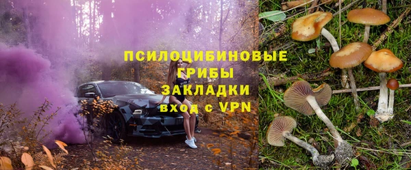шишки Волоколамск