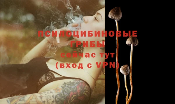 скорость Володарск