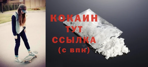прущие крисы Горняк