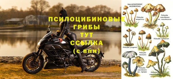 шишки Волоколамск