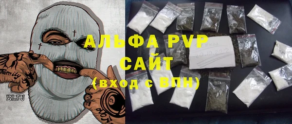 прущие крисы Горняк