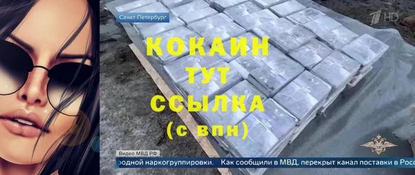 прущие крисы Горняк