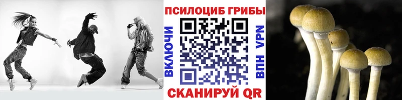 Псилоцибиновые грибы GOLDEN TEACHER  блэк спрут онион  Дюртюли 